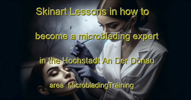Skinart Lessons in how to become a microblading expert in the Hochstadt An Der Donau area | MicrobladingTraining | MicrobladingClasses | SkinartTraining-Germany