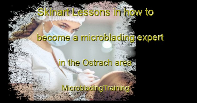 Skinart Lessons in how to become a microblading expert in the Ostrach area | MicrobladingTraining | MicrobladingClasses | SkinartTraining-Germany