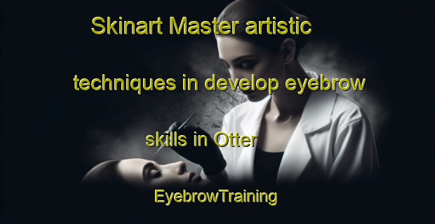 Skinart Master artistic techniques in develop eyebrow skills in Otter | EyebrowTraining | EyebrowClasses | SkinartTraining-Germany