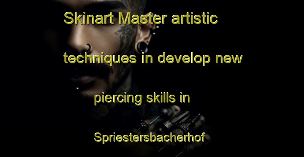Skinart Master artistic techniques in develop new piercing skills in Spriestersbacherhof | PiercingTraining | PiercingClasses | SkinartTraining-Germany