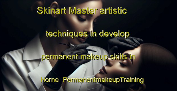 Skinart Master artistic techniques in develop permanent makeup skills in Horne | PermanentmakeupTraining | PermanentmakeupClasses | SkinartTraining-Germany
