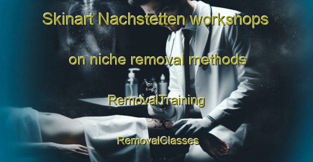 Skinart Nachstetten workshops on niche removal methods | RemovalTraining | RemovalClasses | SkinartTraining-Germany