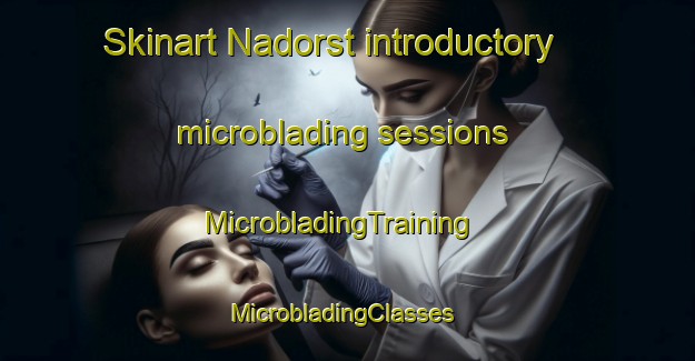Skinart Nadorst introductory microblading sessions | MicrobladingTraining | MicrobladingClasses | SkinartTraining-Germany