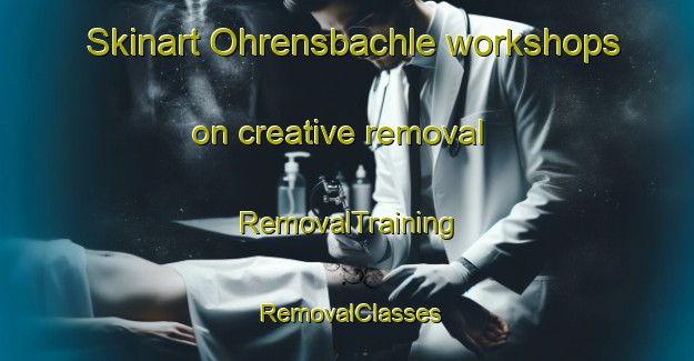 Skinart Ohrensbachle workshops on creative removal | RemovalTraining | RemovalClasses | SkinartTraining-Germany