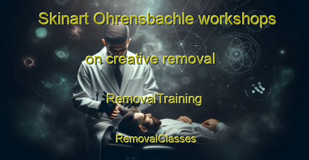 Skinart Ohrensbachle workshops on creative removal | RemovalTraining | RemovalClasses | SkinartTraining-Germany