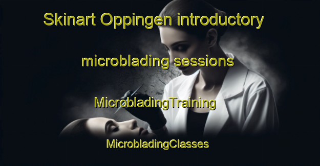 Skinart Oppingen introductory microblading sessions | MicrobladingTraining | MicrobladingClasses | SkinartTraining-Germany