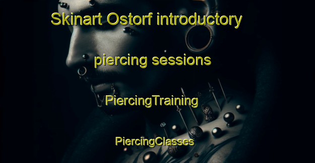 Skinart Ostorf introductory piercing sessions | PiercingTraining | PiercingClasses | SkinartTraining-Germany