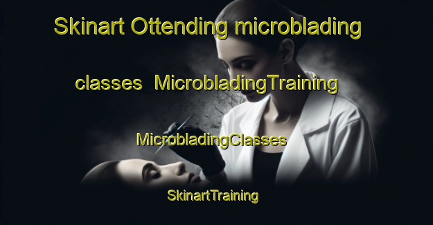 Skinart Ottending microblading classes | MicrobladingTraining | MicrobladingClasses | SkinartTraining-Germany