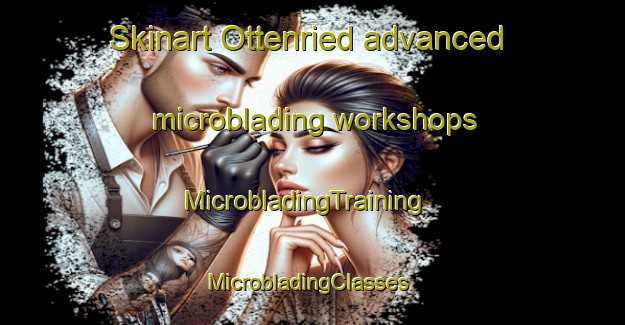 Skinart Ottenried advanced microblading workshops | MicrobladingTraining | MicrobladingClasses | SkinartTraining-Germany