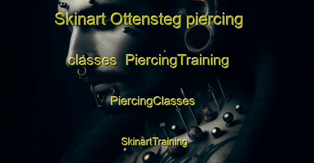 Skinart Ottensteg piercing classes | PiercingTraining | PiercingClasses | SkinartTraining-Germany