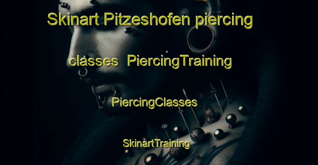 Skinart Pitzeshofen piercing classes | PiercingTraining | PiercingClasses | SkinartTraining-Germany