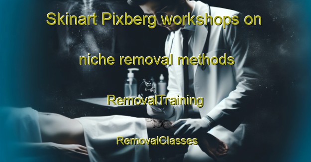 Skinart Pixberg workshops on niche removal methods | RemovalTraining | RemovalClasses | SkinartTraining-Germany