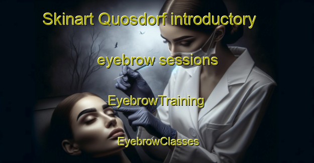 Skinart Quosdorf introductory eyebrow sessions | EyebrowTraining | EyebrowClasses | SkinartTraining-Germany