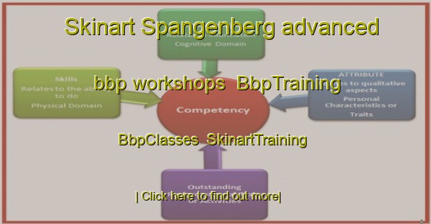 Skinart Spangenberg advanced bbp workshops | BbpTraining | BbpClasses | SkinartTraining-Germany