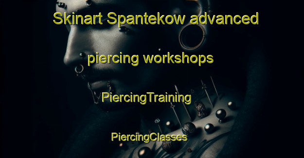 Skinart Spantekow advanced piercing workshops | PiercingTraining | PiercingClasses | SkinartTraining-Germany