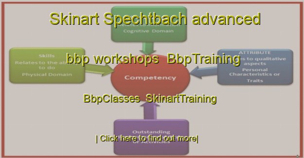 Skinart Spechtbach advanced bbp workshops | BbpTraining | BbpClasses | SkinartTraining-Germany