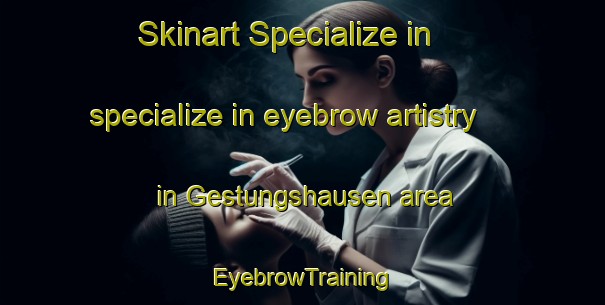 Skinart Specialize in specialize in eyebrow artistry in Gestungshausen area | EyebrowTraining | EyebrowClasses | SkinartTraining-Germany