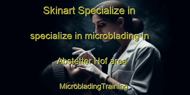 Skinart Specialize in specialize in microblading in Abstetter Hof area | #MicrobladingTraining #MicrobladingClasses #SkinartTraining-Germany