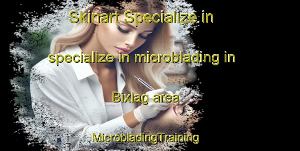 Skinart Specialize in specialize in microblading in Bixlag area | MicrobladingTraining | MicrobladingClasses | SkinartTraining-Germany