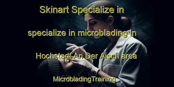 Skinart Specialize in specialize in microblading in Hochstadt An Der Aisch area | MicrobladingTraining | MicrobladingClasses | SkinartTraining-Germany
