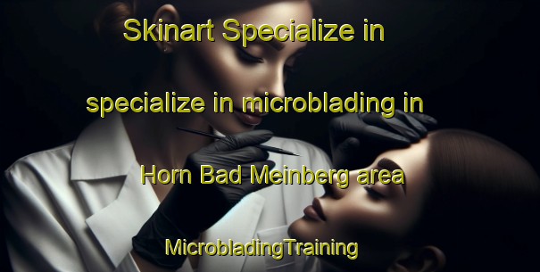 Skinart Specialize in specialize in microblading in Horn Bad Meinberg area | MicrobladingTraining | MicrobladingClasses | SkinartTraining-Germany