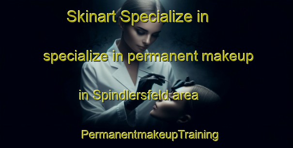 Skinart Specialize in specialize in permanent makeup in Spindlersfeld area | PermanentmakeupTraining | PermanentmakeupClasses | SkinartTraining-Germany