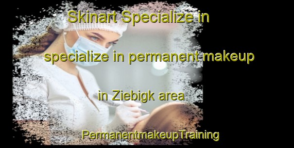 Skinart Specialize in specialize in permanent makeup in Ziebigk area | PermanentmakeupTraining | PermanentmakeupClasses | SkinartTraining-Germany