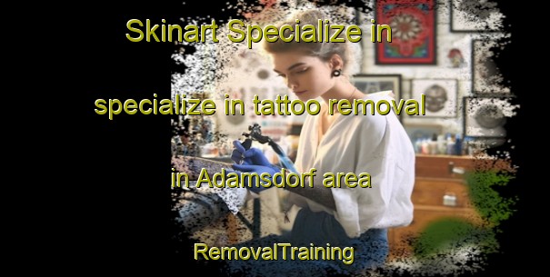 Skinart Specialize in specialize in tattoo removal in Adamsdorf area | RemovalTraining | RemovalClasses | SkinartTraining-Germany