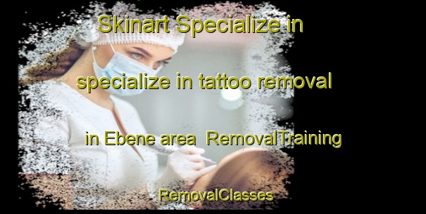 Skinart Specialize in specialize in tattoo removal in Ebene area | RemovalTraining | RemovalClasses | SkinartTraining-Germany