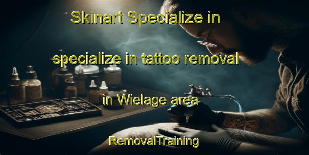 Skinart Specialize in specialize in tattoo removal in Wielage area | RemovalTraining | RemovalClasses | SkinartTraining-Germany