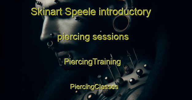 Skinart Speele introductory piercing sessions | PiercingTraining | PiercingClasses | SkinartTraining-Germany