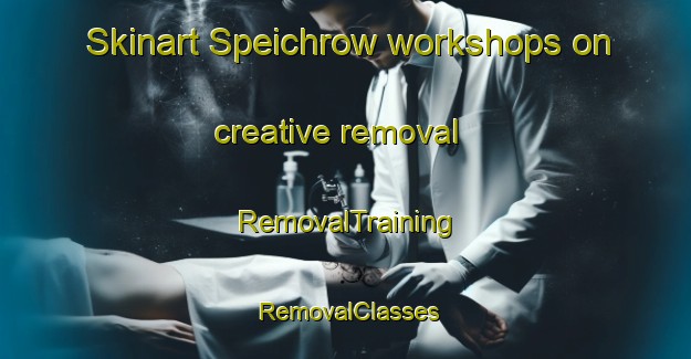 Skinart Speichrow workshops on creative removal | RemovalTraining | RemovalClasses | SkinartTraining-Germany