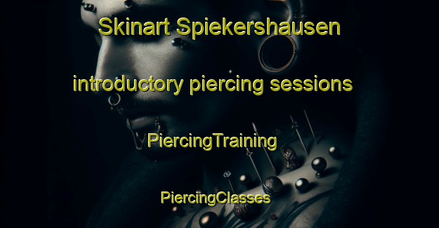 Skinart Spiekershausen introductory piercing sessions | PiercingTraining | PiercingClasses | SkinartTraining-Germany