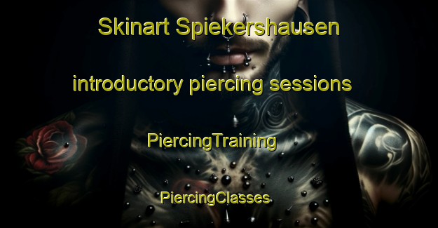 Skinart Spiekershausen introductory piercing sessions | PiercingTraining | PiercingClasses | SkinartTraining-Germany