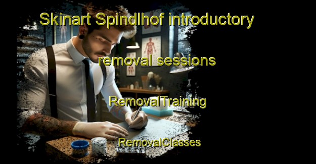 Skinart Spindlhof introductory removal sessions | RemovalTraining | RemovalClasses | SkinartTraining-Germany