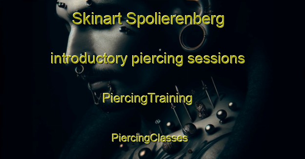 Skinart Spolierenberg introductory piercing sessions | PiercingTraining | PiercingClasses | SkinartTraining-Germany