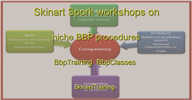 Skinart Spork workshops on niche BBP procedures | BbpTraining | BbpClasses | SkinartTraining-Germany