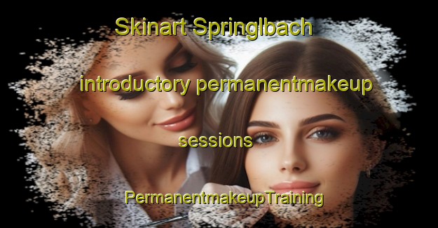 Skinart Springlbach introductory permanentmakeup sessions | PermanentmakeupTraining | PermanentmakeupClasses | SkinartTraining-Germany