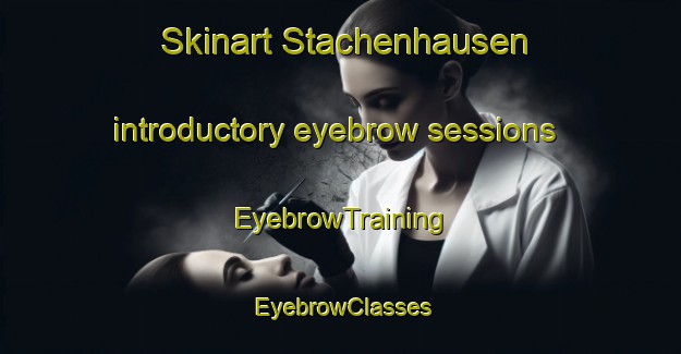 Skinart Stachenhausen introductory eyebrow sessions | EyebrowTraining | EyebrowClasses | SkinartTraining-Germany