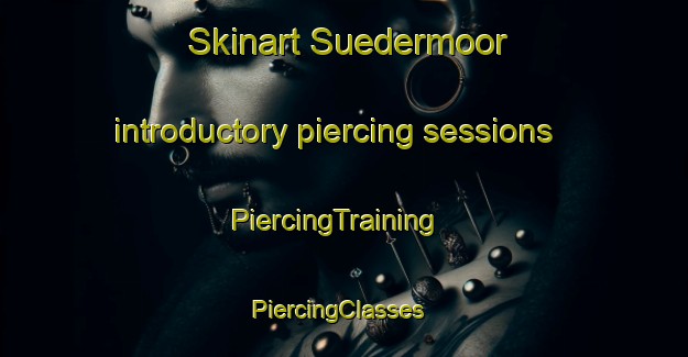 Skinart Suedermoor introductory piercing sessions | PiercingTraining | PiercingClasses | SkinartTraining-Germany