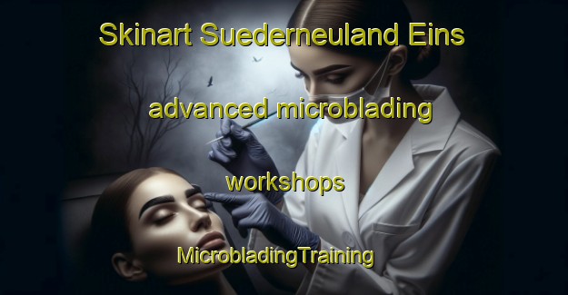 Skinart Suederneuland Eins advanced microblading workshops | MicrobladingTraining | MicrobladingClasses | SkinartTraining-Germany