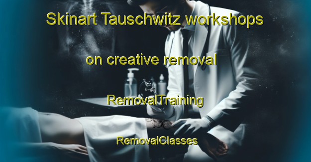 Skinart Tauschwitz workshops on creative removal | RemovalTraining | RemovalClasses | SkinartTraining-Germany