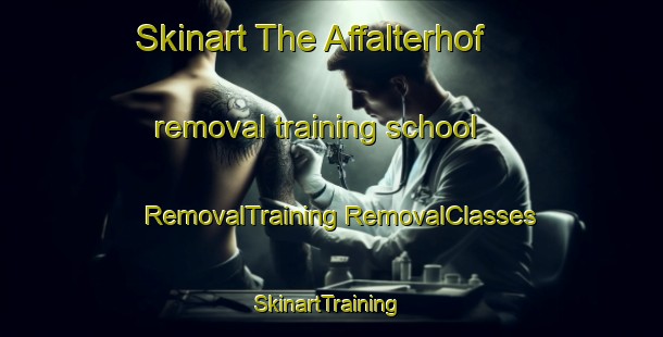 Skinart The Affalterhof removal training school | #RemovalTraining #RemovalClasses #SkinartTraining-Germany