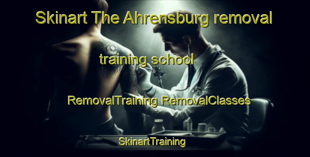 Skinart The Ahrensburg removal training school | #RemovalTraining #RemovalClasses #SkinartTraining-Germany