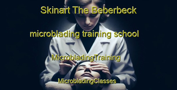 Skinart The Beberbeck microblading training school | MicrobladingTraining | MicrobladingClasses | SkinartTraining-Germany
