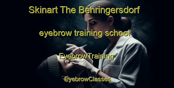 Skinart The Behringersdorf eyebrow training school | EyebrowTraining | EyebrowClasses | SkinartTraining-Germany