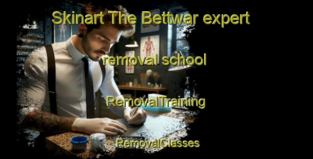 Skinart The Bettwar expert removal school | RemovalTraining | RemovalClasses | SkinartTraining-Germany