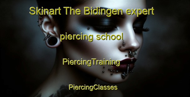 Skinart The Bidingen expert piercing school | PiercingTraining | PiercingClasses | SkinartTraining-Germany