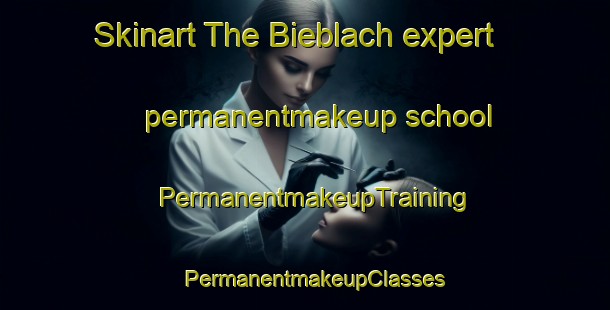 Skinart The Bieblach expert permanentmakeup school | PermanentmakeupTraining | PermanentmakeupClasses | SkinartTraining-Germany