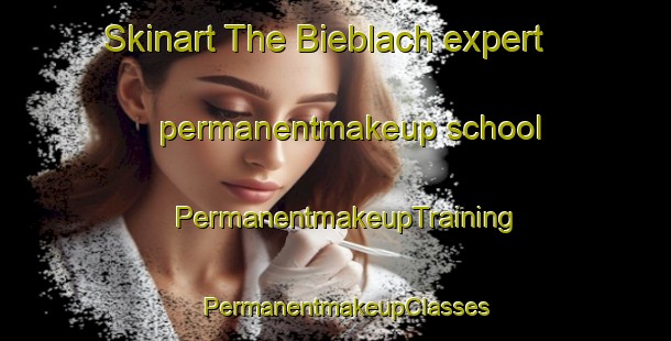 Skinart The Bieblach expert permanentmakeup school | PermanentmakeupTraining | PermanentmakeupClasses | SkinartTraining-Germany